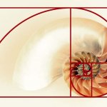 golden-ratio-01