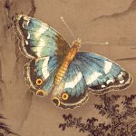 המסע של הנשמה