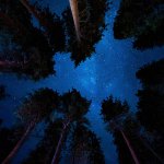 darkness-bill-plotkin-01