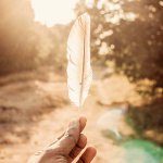 תמונה של יד אוחזת נוצה על שביל - במאמר הדרך אל החופש מאת פטריציו פאולטי