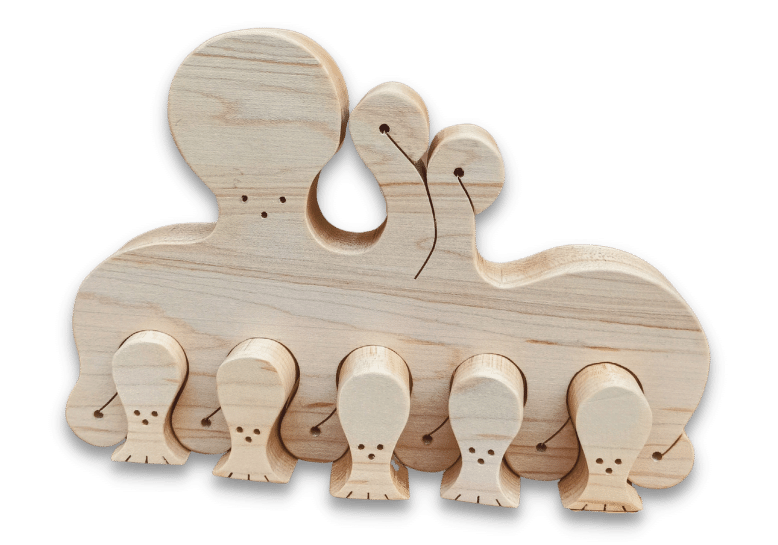 Wooden anthroposophical puzzle (6)