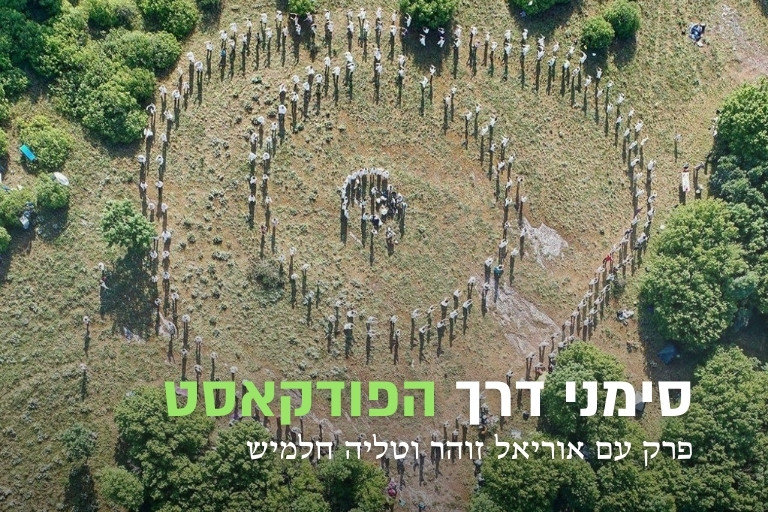 פוקדאסט פנאוריטמיה